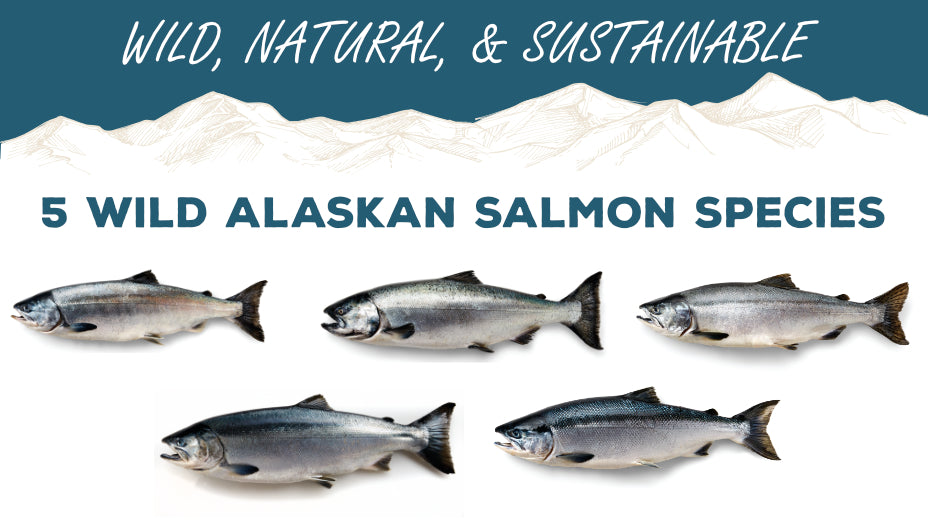 Alaska - Wild Salmon Center