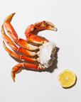 Dungeness crab cluster and cut lemon on a white background
