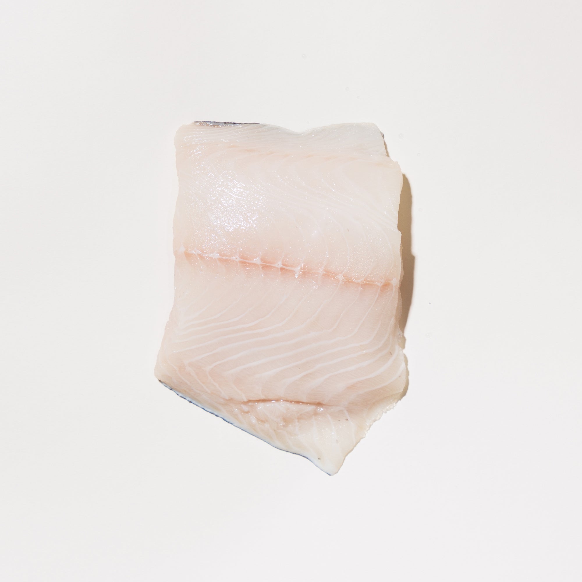raw black cod on a white portion