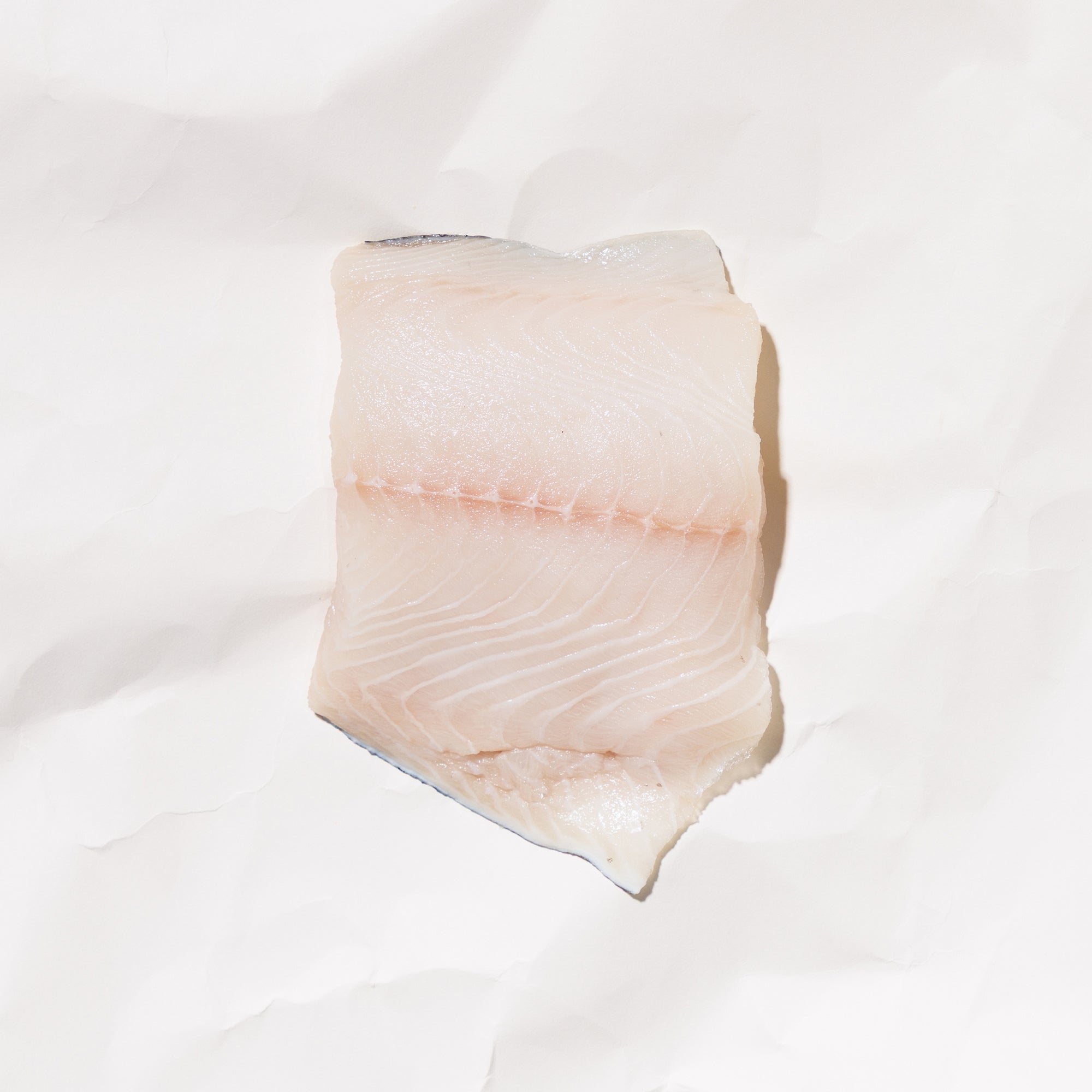 Raw wild black cod on a white background