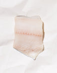 Raw wild black cod on a white background