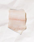 Raw wild black cod on a white background