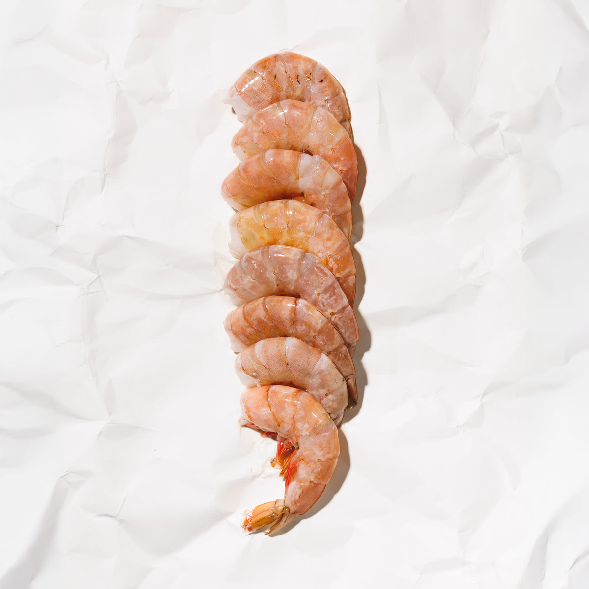 WildForSalmon-BrownShrimp-156-