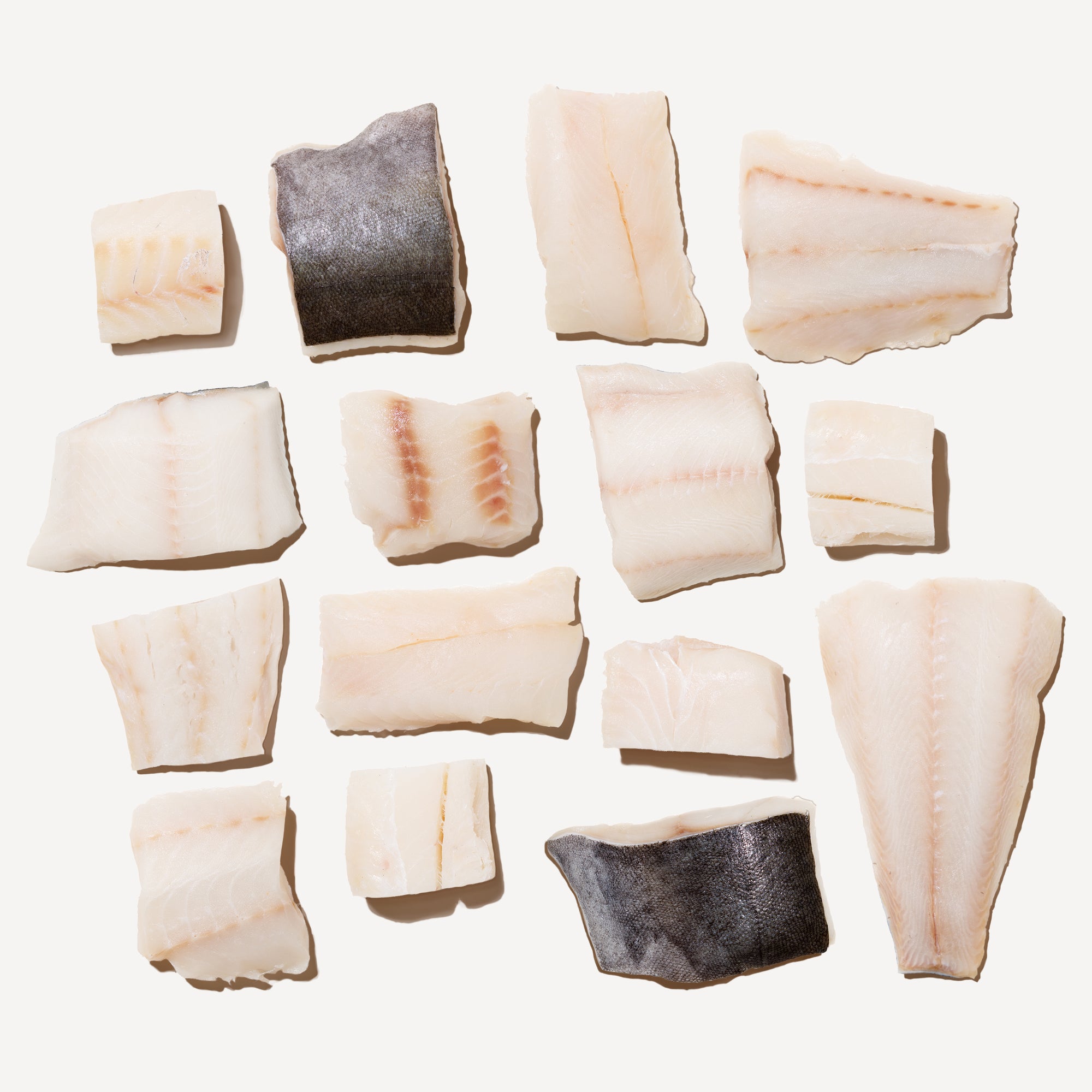 raw black cod (sablefish), ling cod, and pacific cod arranged on a white background