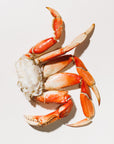 Dungeness crab cluster on a white background