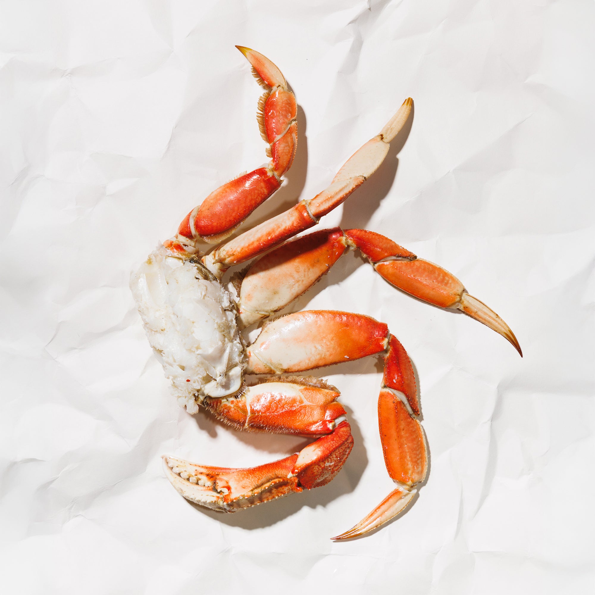 Crab legs on a white paper background