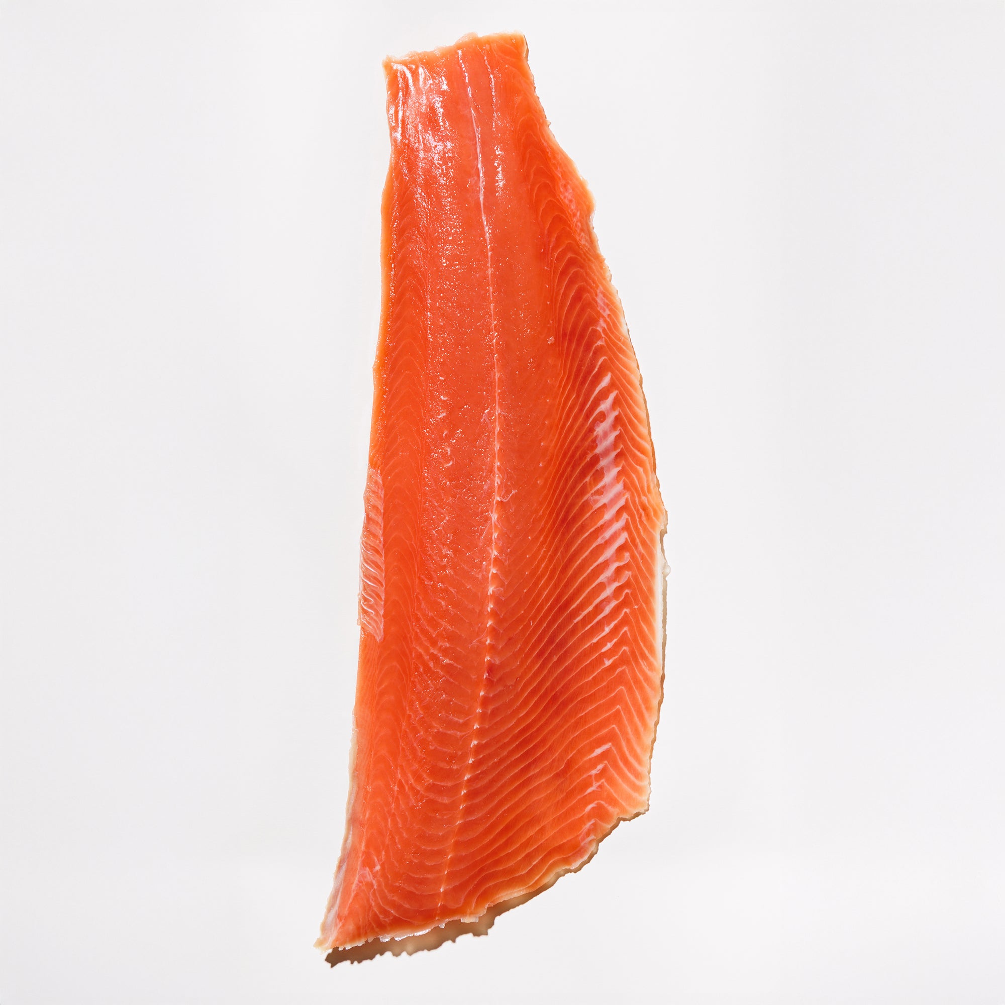 Raw Keta salmon fillet on a white background
