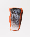 Raw king salmon skin side up on a white background