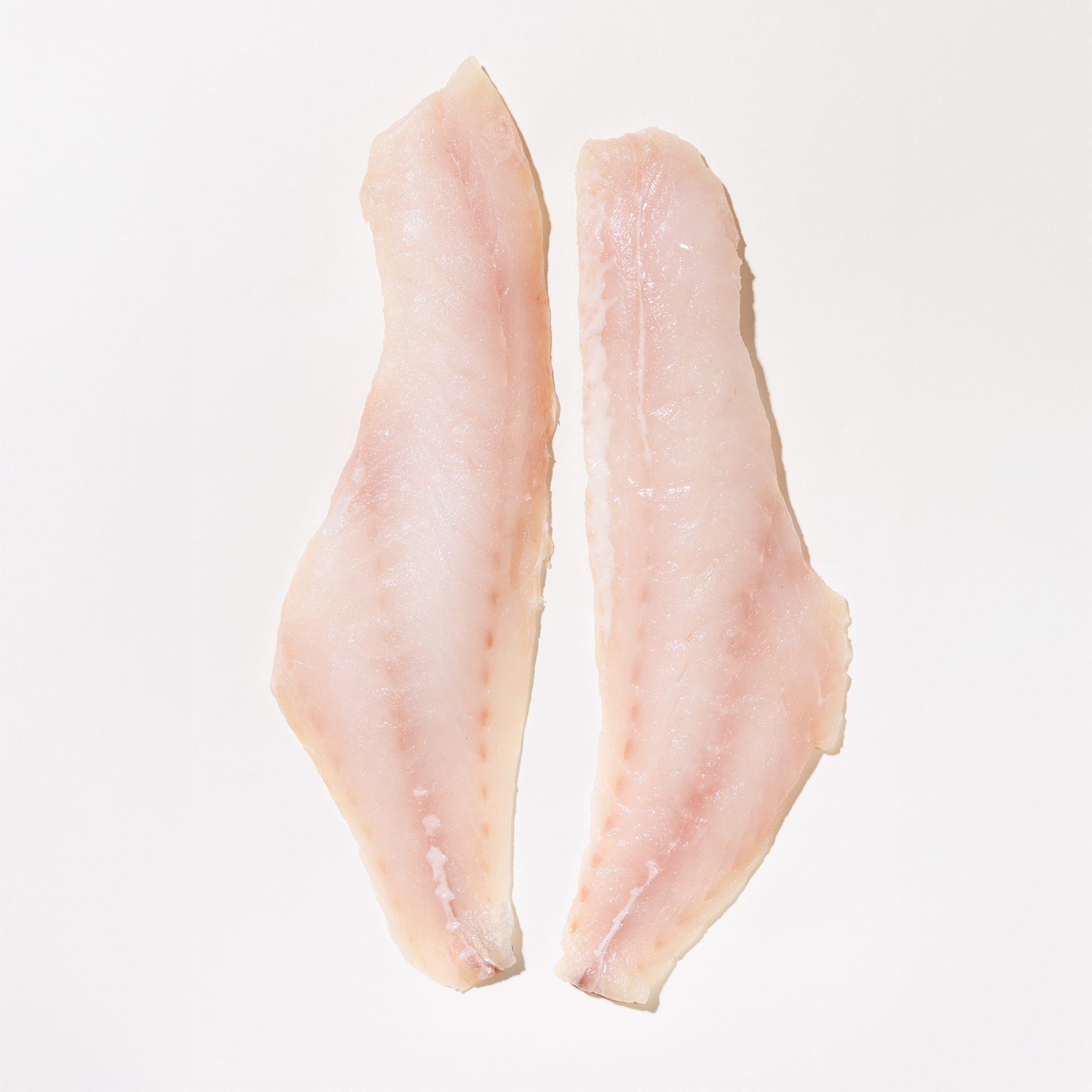 Two raw rockfish fillets on a white background