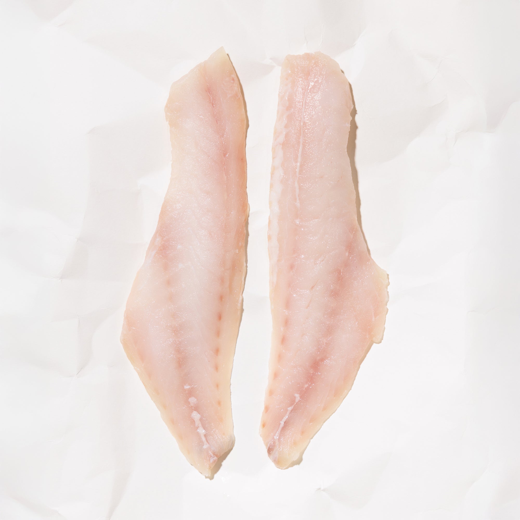 Two raw rockfish fillets on a white background