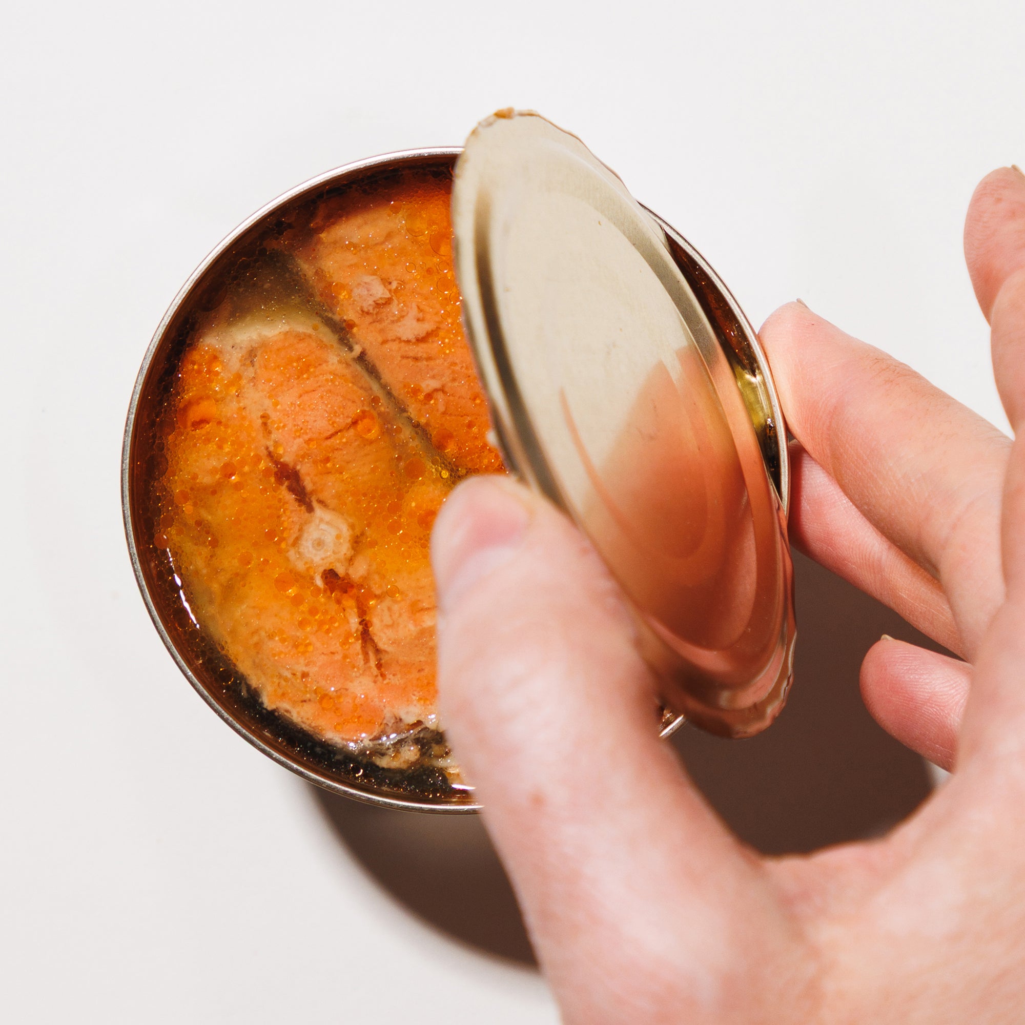 Hand opening a can of salmon on a white background