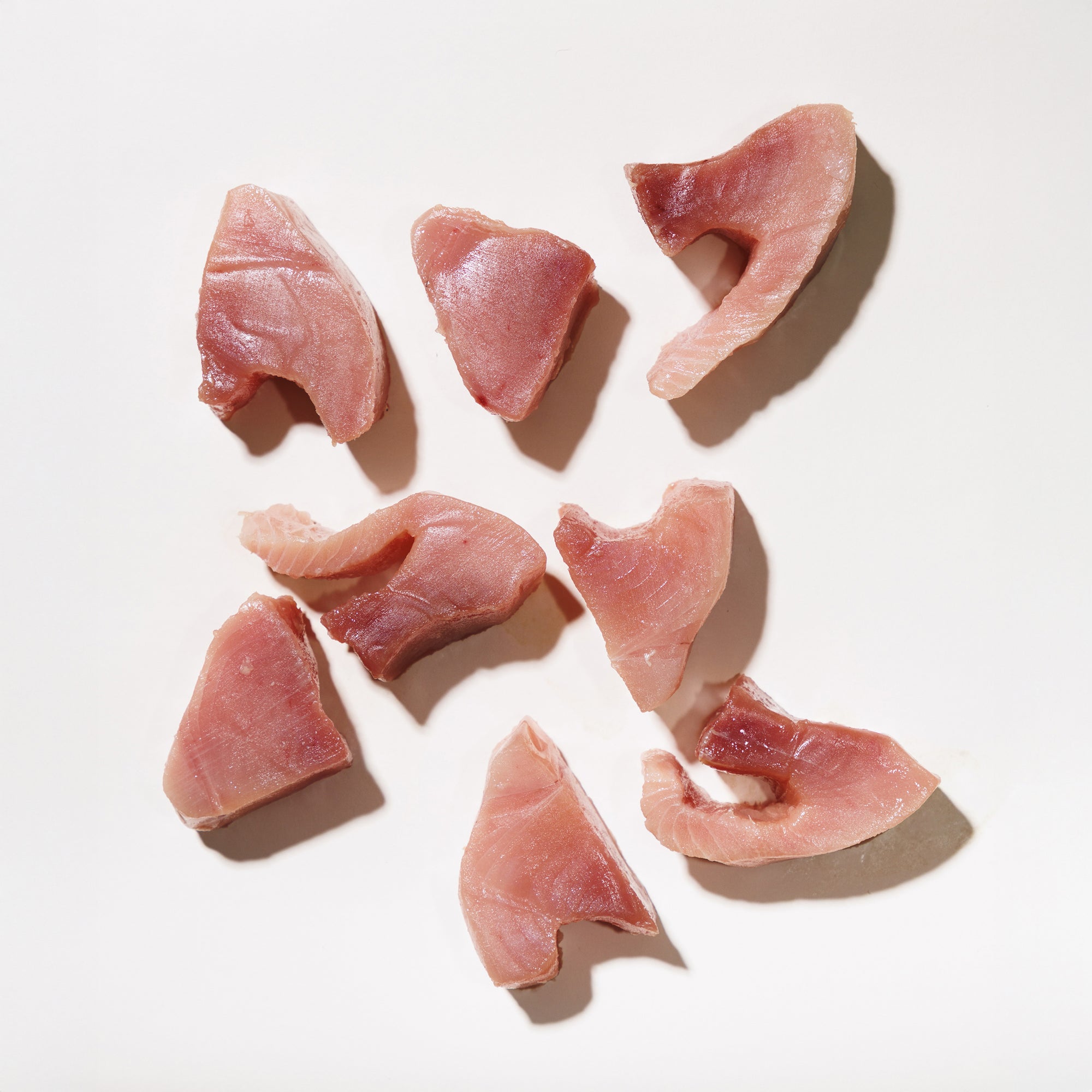 Raw tuna medallions arranged on a white background
