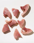 Raw tuna medallions arranged on a white background