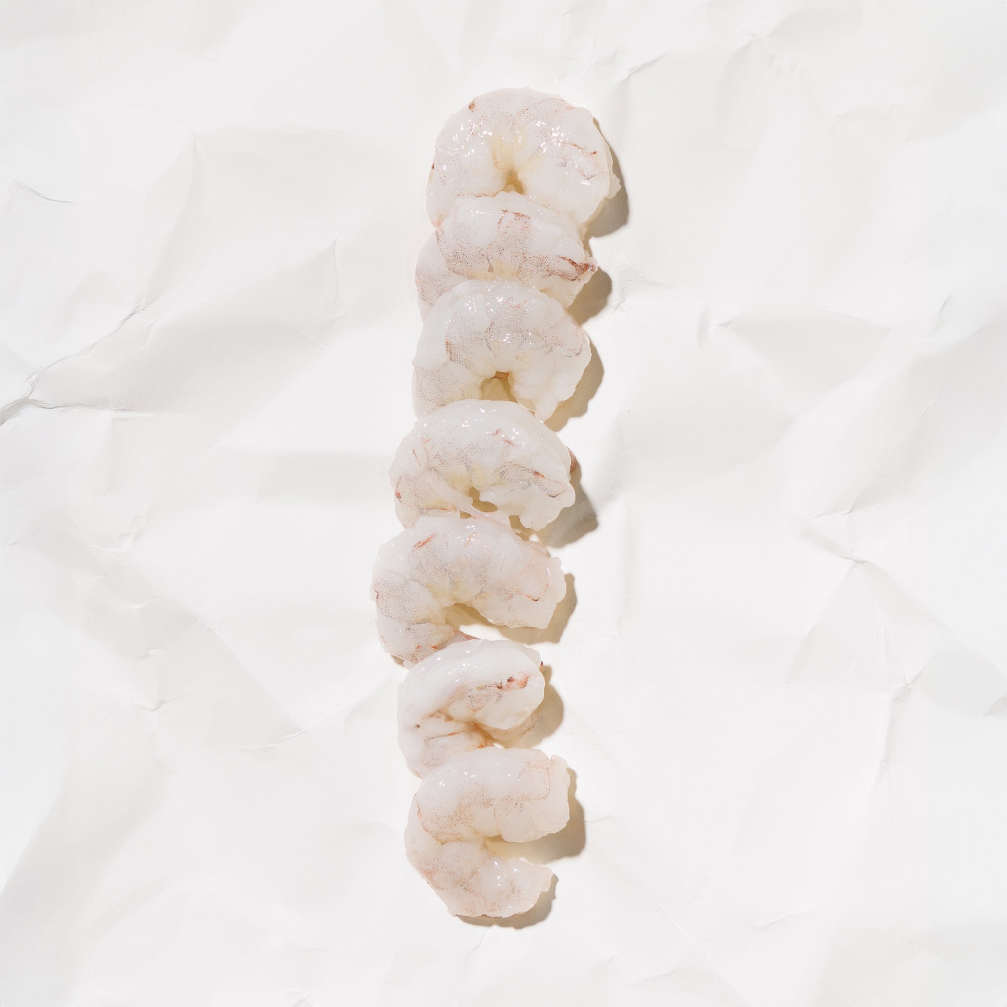 Shrimp on a white background