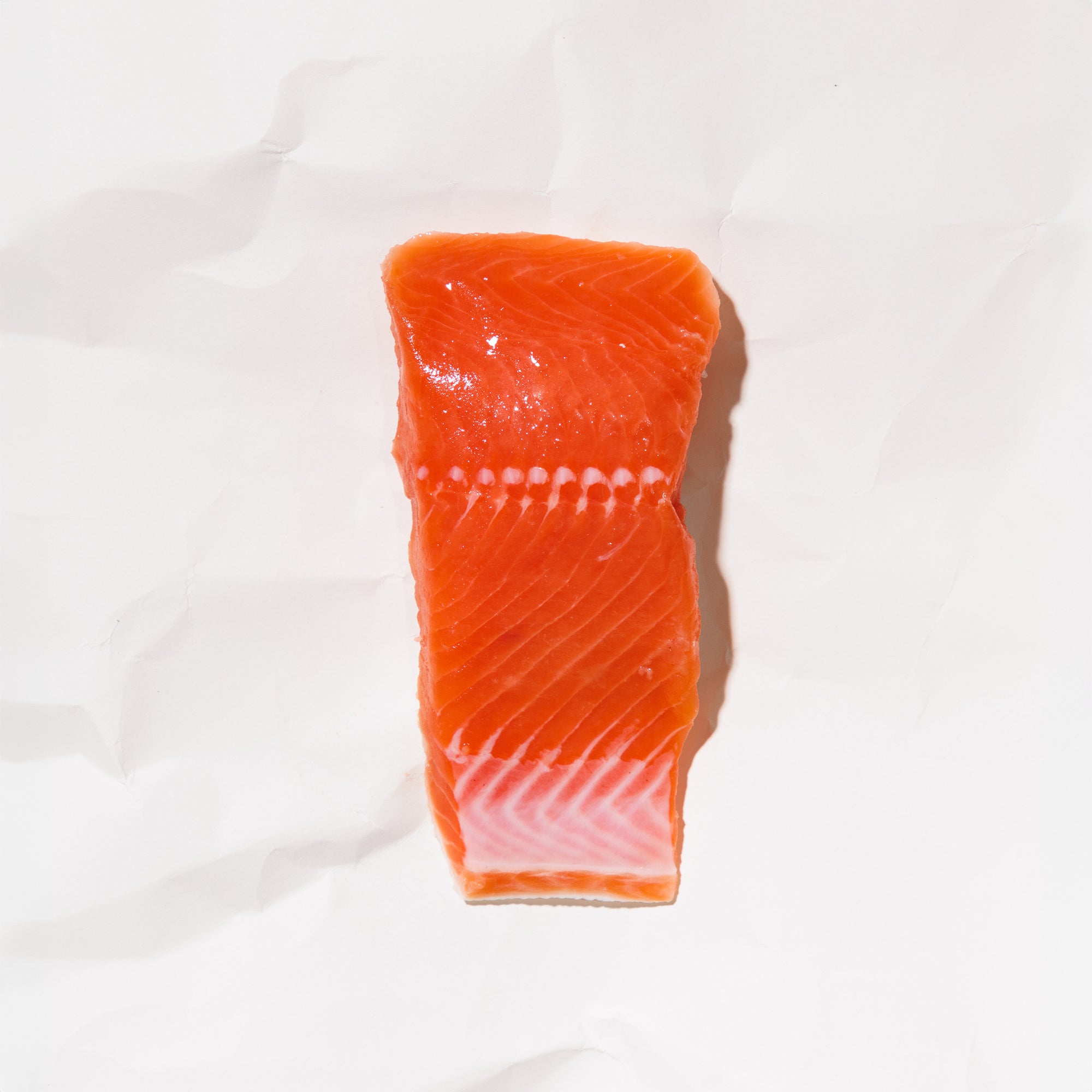 Raw coho salmon portion on a white paper background