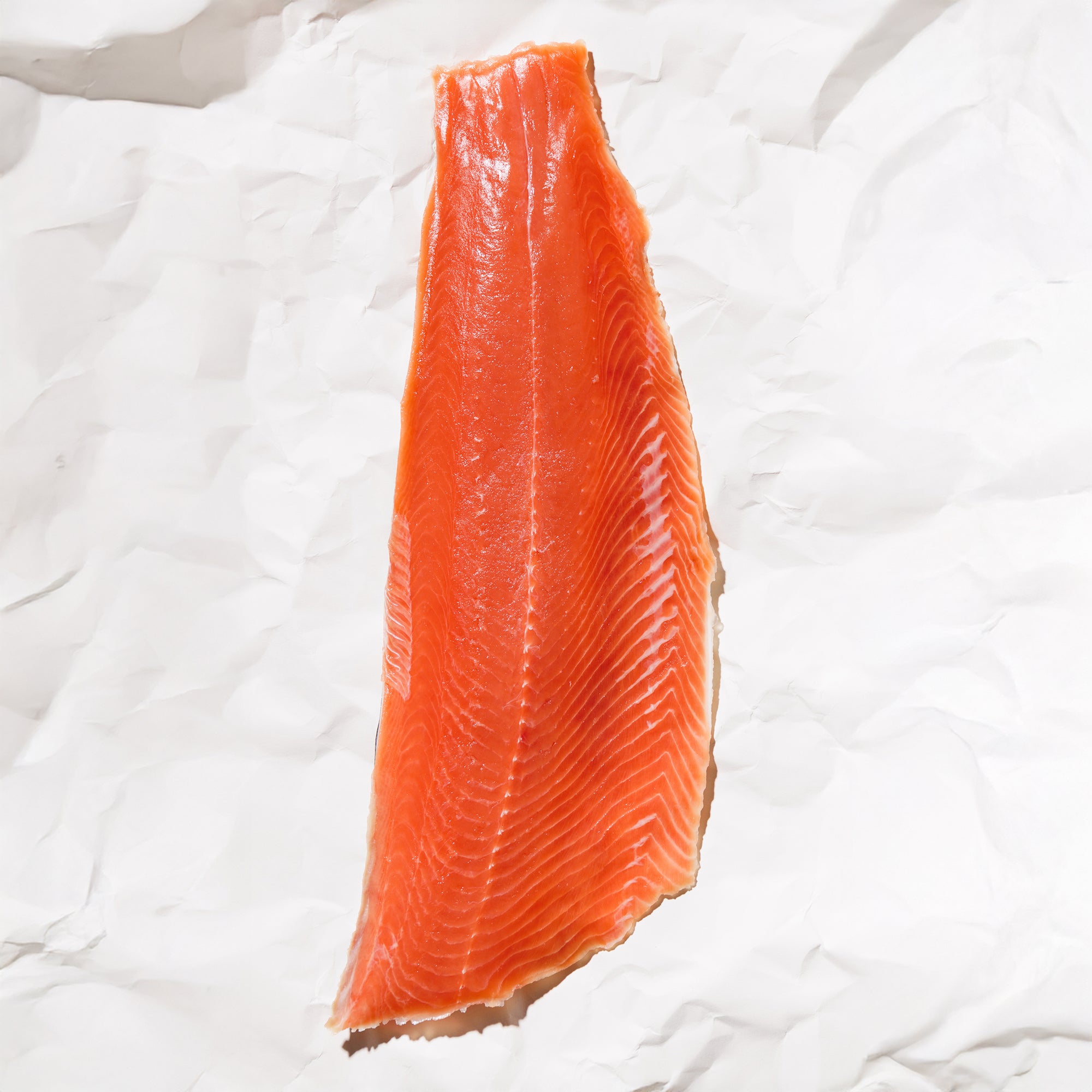 Raw keta salmon fillet on a white paper background