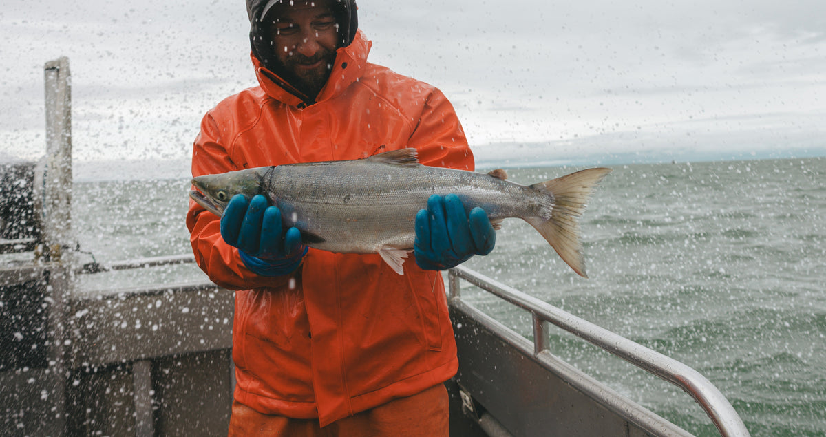 Captain Steve Kurian holding a caught fish on the FV Ava Jane out on the waters in Bristol Bay Alaska
