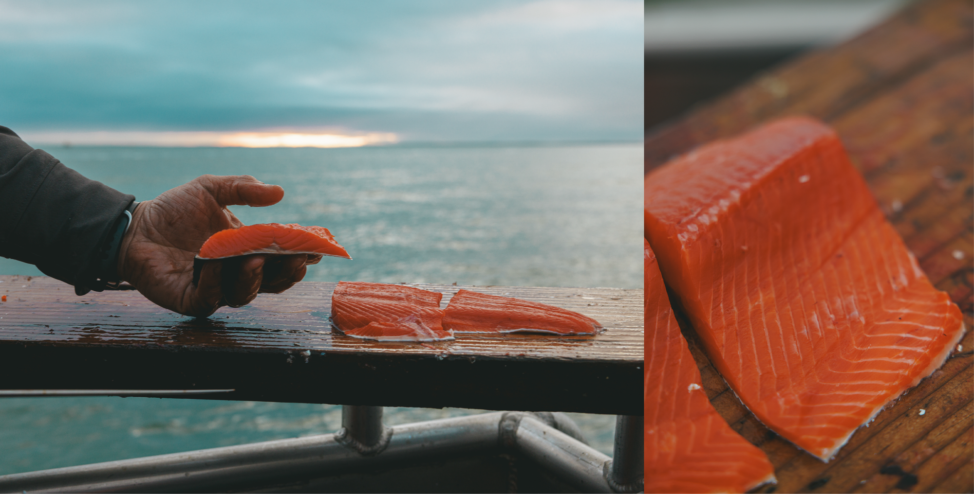 The True Cost of Wild Sockeye