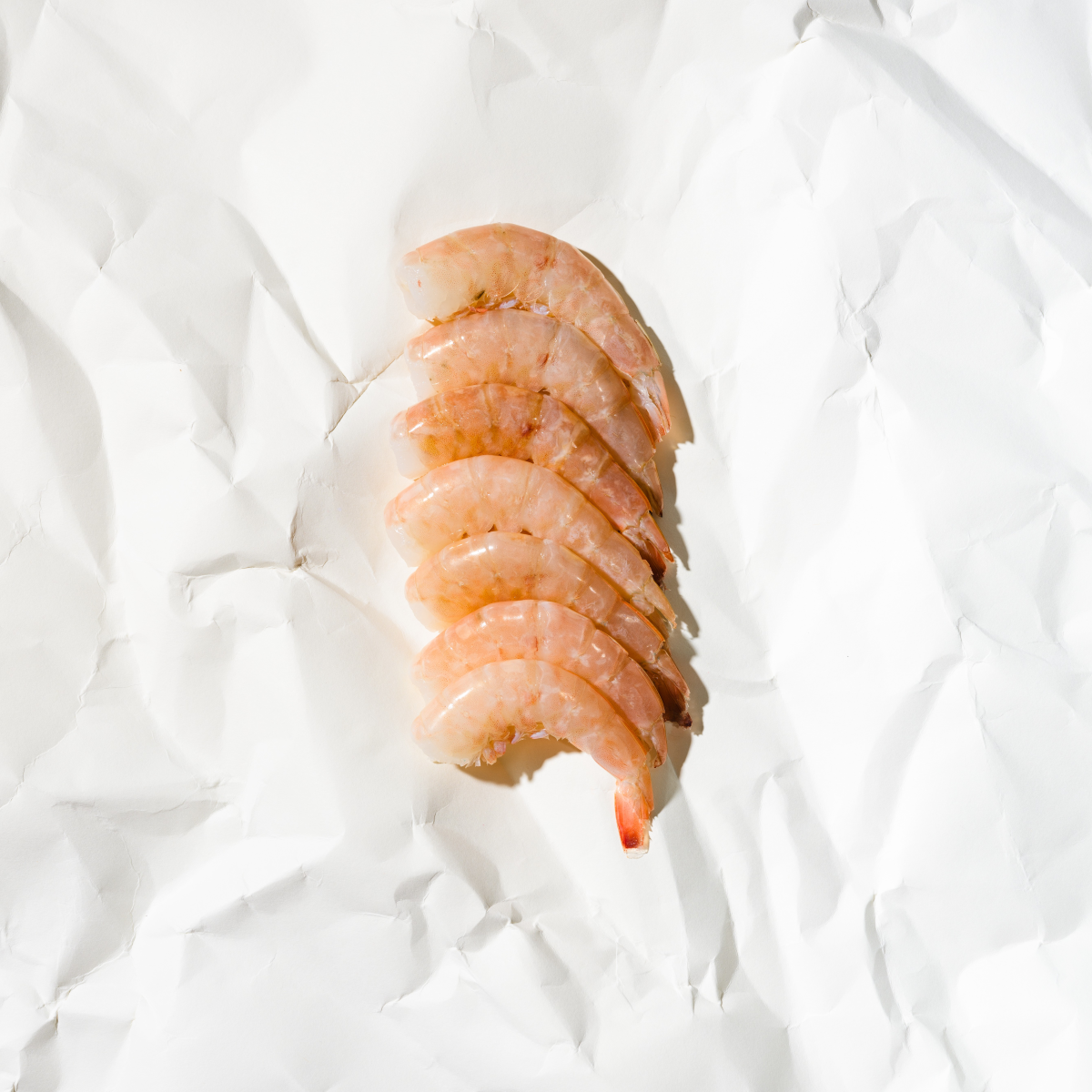 Pink Shrimp