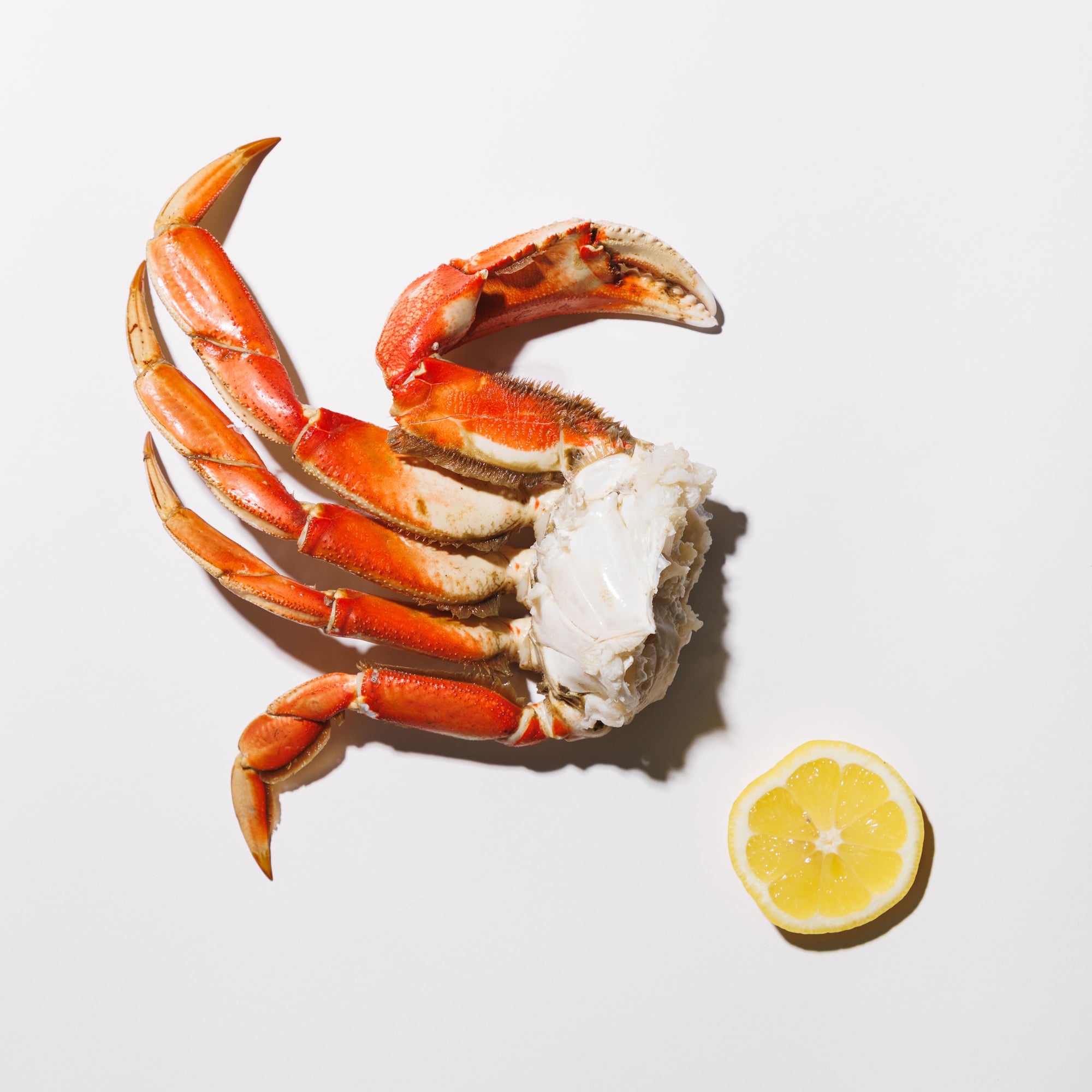Dungeness crab cluster and cut lemon on a white background 