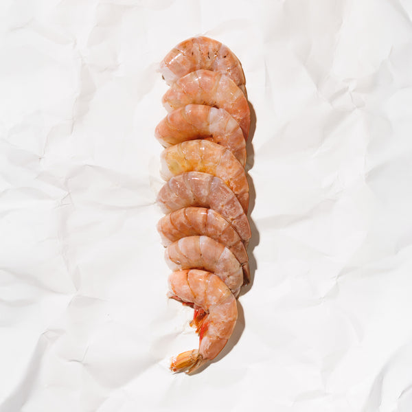 WildForSalmon-BrownShrimp-156-