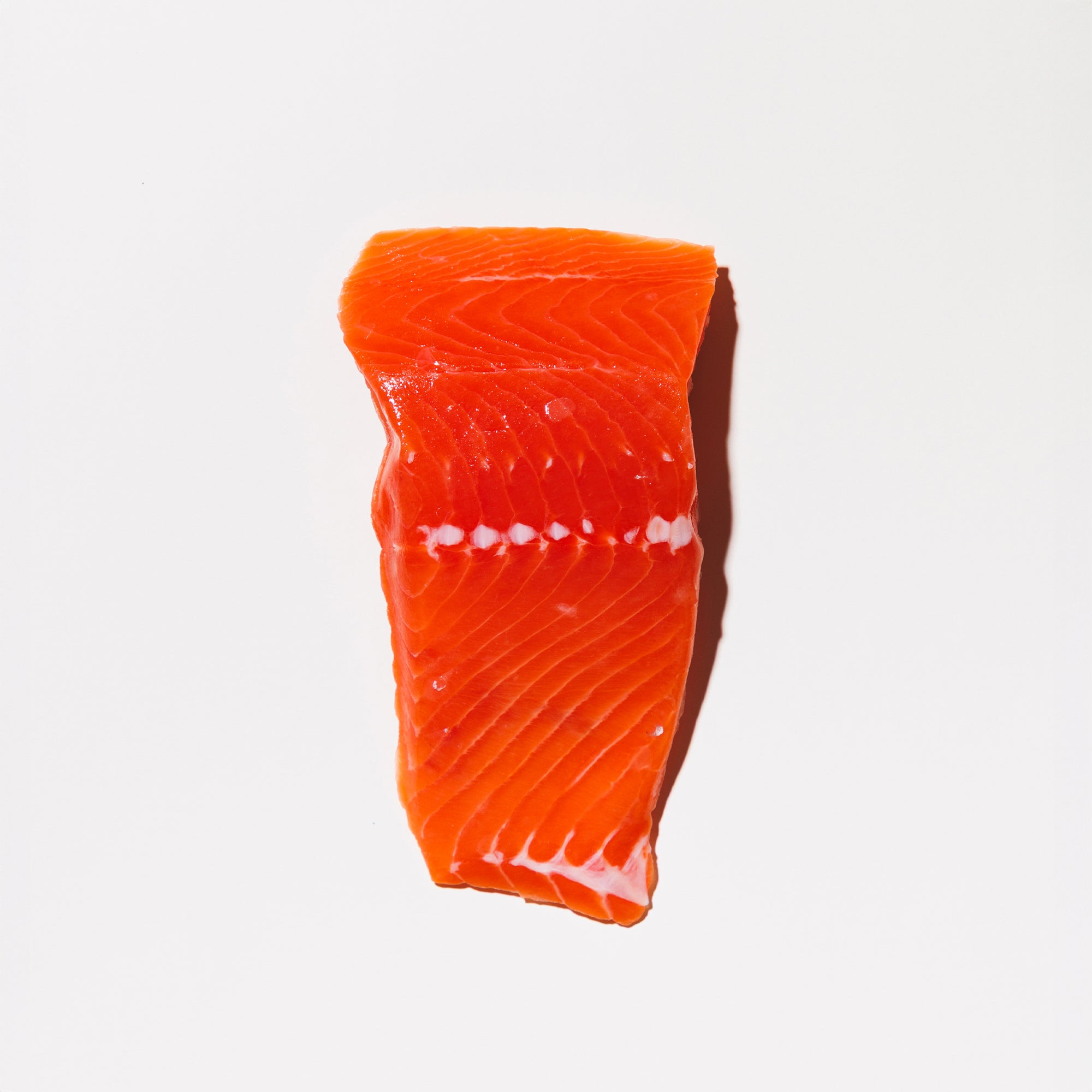 King Salmon