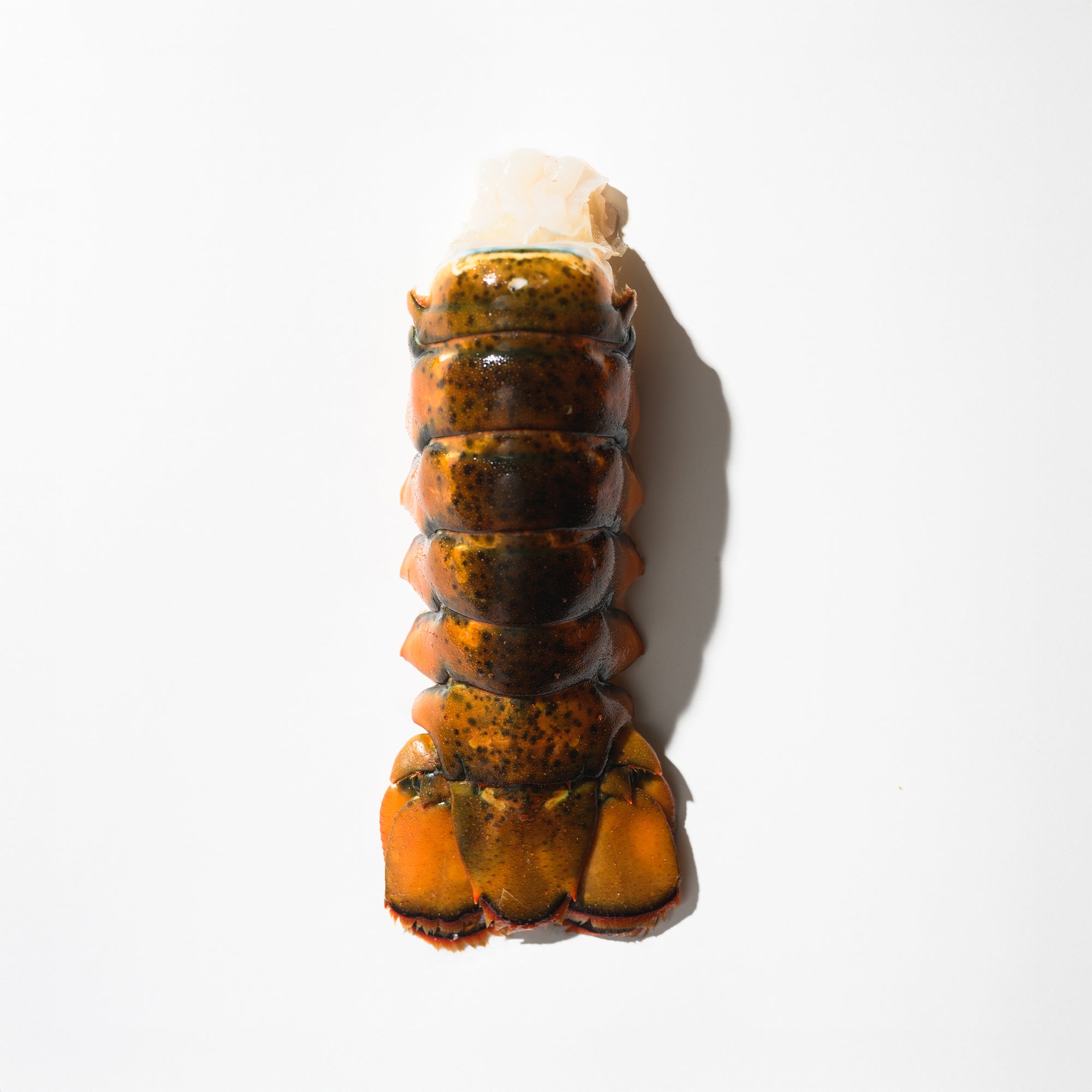 Lobster Tails