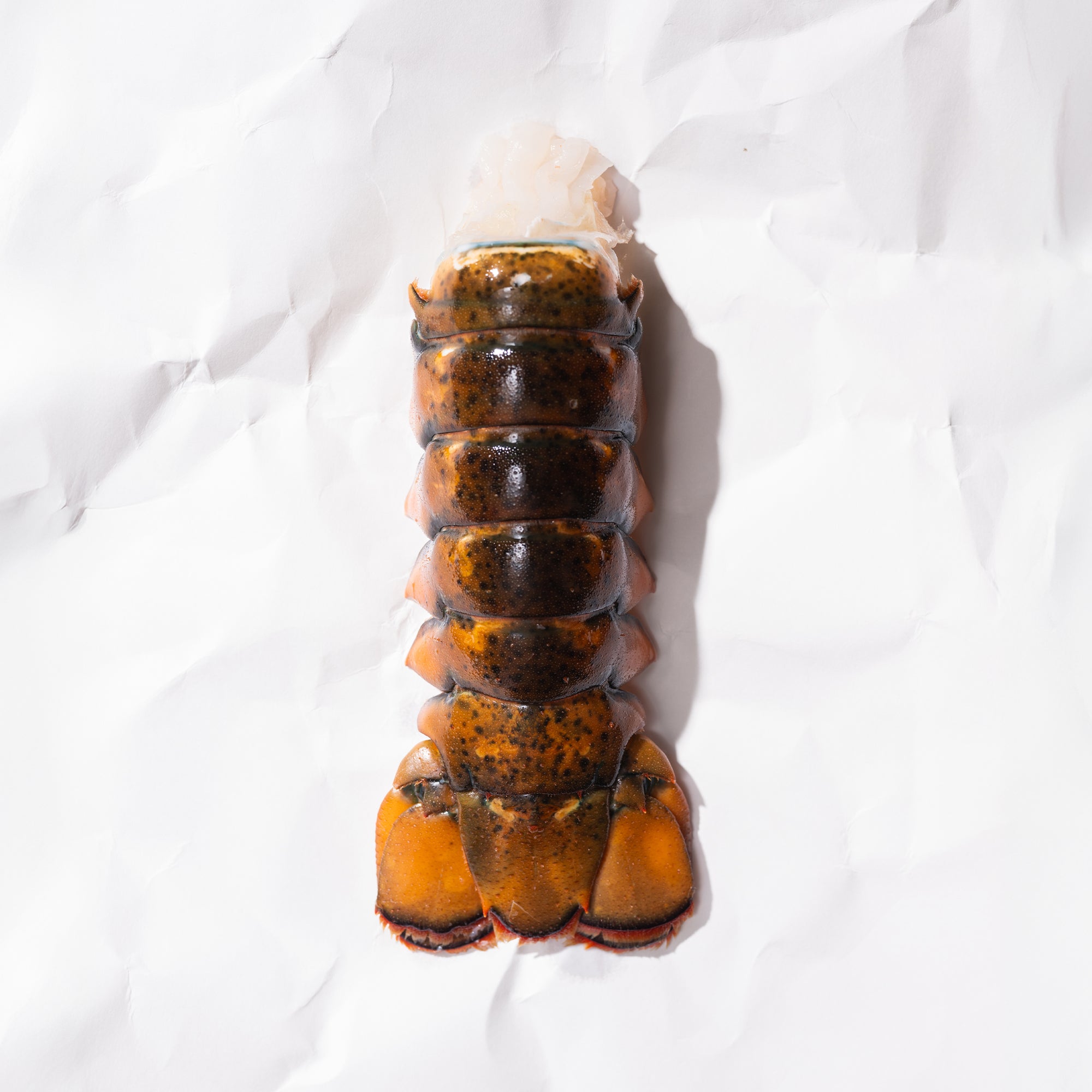 Lobster Tails