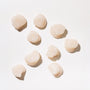 Scallops arranged on a light background