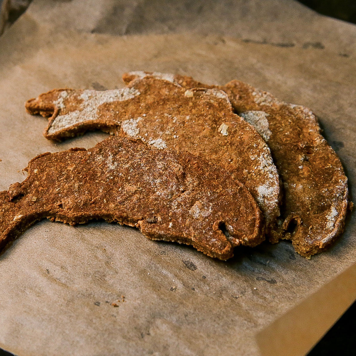 Three fish shaped salmon dog treats on a stone surface