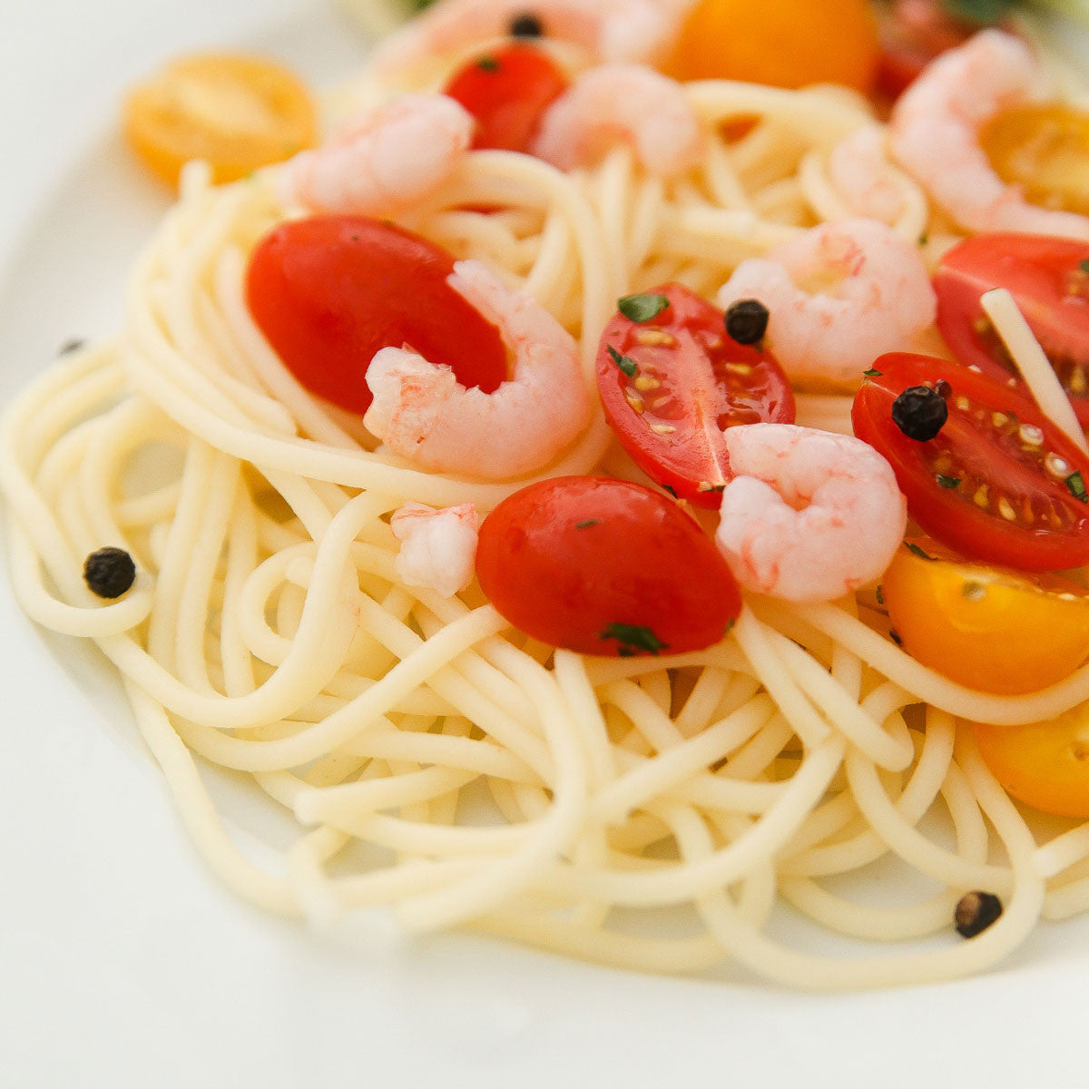 Spaghetti dish with tomatoes and shrimp on a white plate