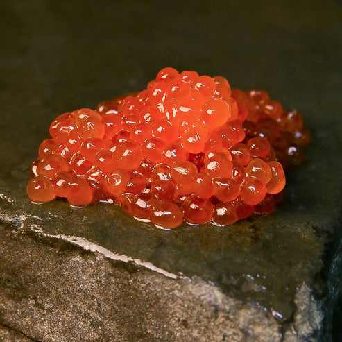 Alaska Keta Salmon Ikura Close Up - Salmon Caviar - Salmon Eggs 