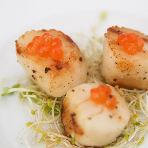 Alaska Keta Salmon Ikura on Scallops - Salmon Caviar - Salmon Eggs 